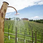 Weingarten-resort Unterlamm Loipersdorf - Adults Only