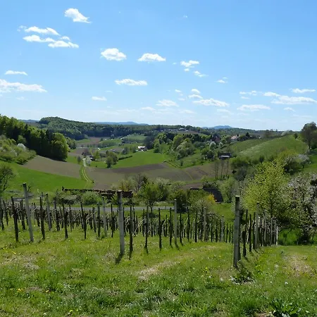 Chalet Weingarten-resort Unterlamm Loipersdorf - Adults Only *