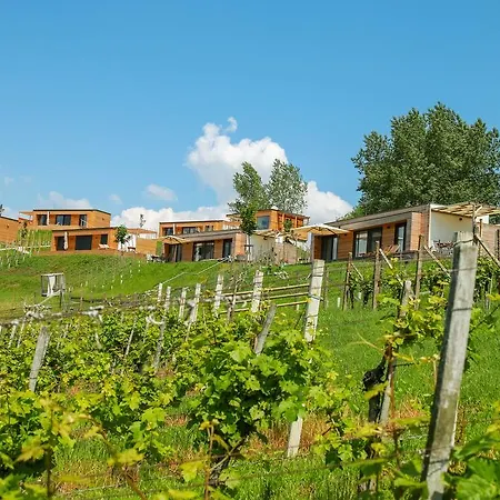 Dağ evi Weingarten-resort Unterlamm Loipersdorf - Adults Only *