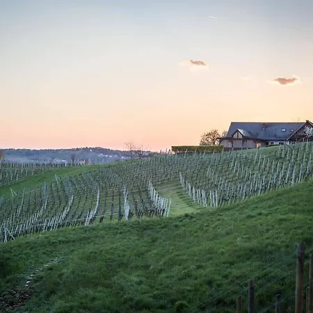 Weingarten-resort Unterlamm Loipersdorf - Adults Only Unterlamm (Styria)