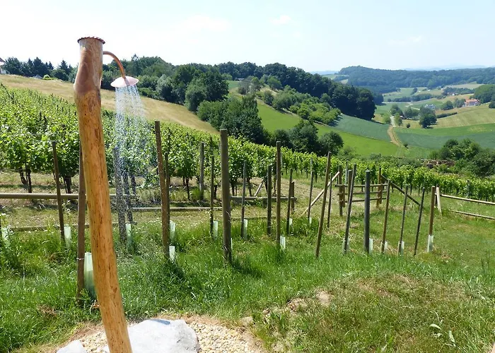 Dağ evi Weingarten-resort Unterlamm Loipersdorf - Adults Only Unterlamm (Styria)