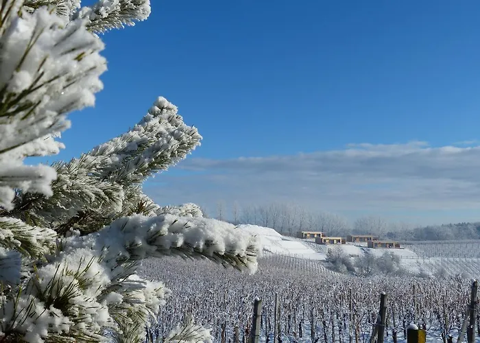 Weingarten-resort Unterlamm Loipersdorf - Adults Only Dağ evi Unterlamm (Styria)