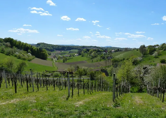 Chalet Weingarten-resort Unterlamm Loipersdorf - Adults Only *