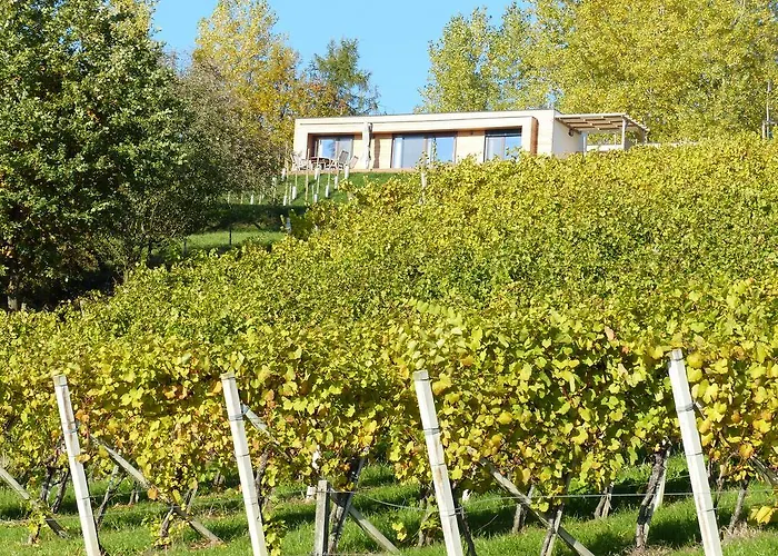 Dağ evi Weingarten-resort Unterlamm Loipersdorf - Adults Only *