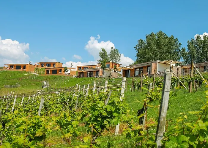 Chalet Weingarten-resort Unterlamm Loipersdorf - Adults Only *