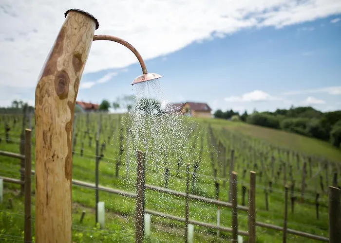 Weingarten-resort Unterlamm Loipersdorf - Adults Only