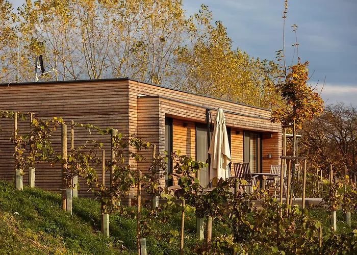 Chalet Weingarten-resort Unterlamm Loipersdorf - Adults Only *