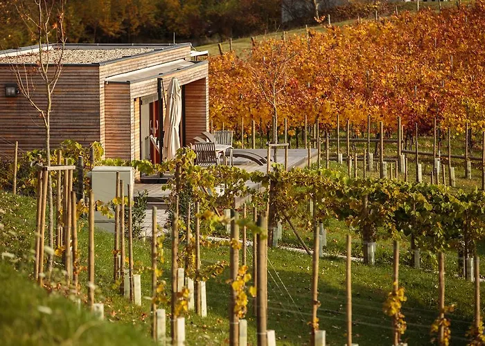 Dağ evi Weingarten-resort Unterlamm Loipersdorf - Adults Only *