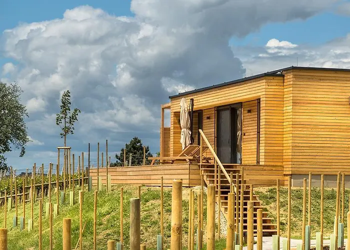 Dağ evi Weingarten-resort Unterlamm Loipersdorf - Adults Only