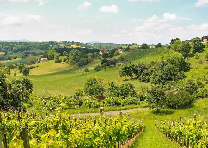 샬레 바인가튼 운터람 로이퍼스드로프 - 성인 전용 *