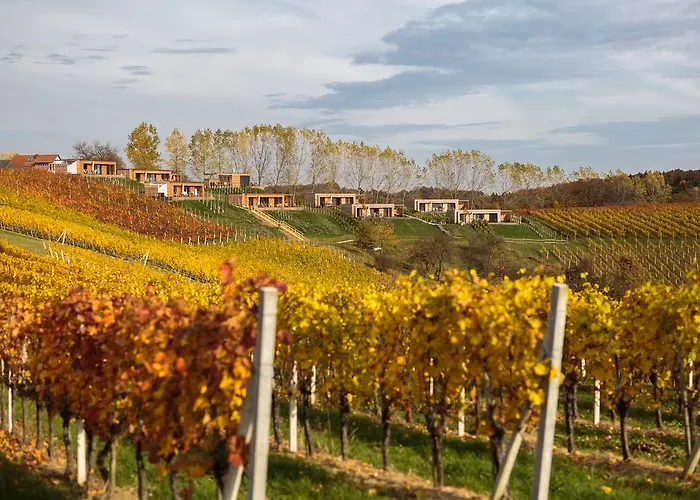 Dağ evi Weingarten-resort Unterlamm Loipersdorf - Adults Only *