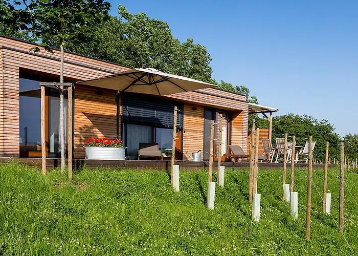 Dağ evi Weingarten-resort Unterlamm Loipersdorf - Adults Only *