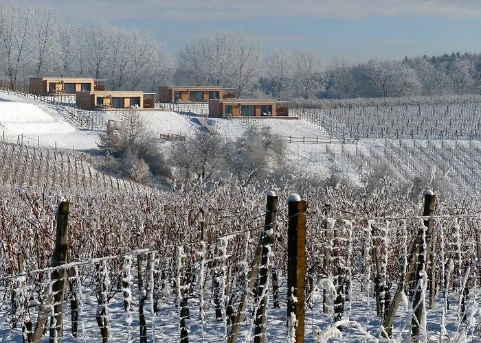 Dağ evi Weingarten-resort Unterlamm Loipersdorf - Adults Only