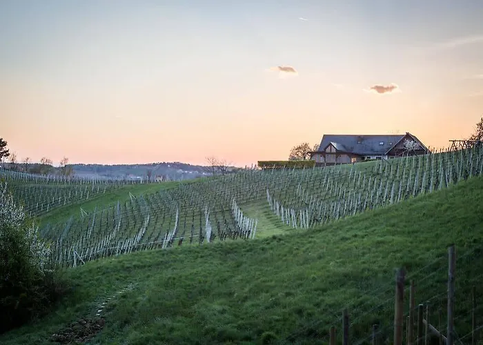 Weingarten-resort Unterlamm Loipersdorf - Adults Only Unterlamm (Styria)